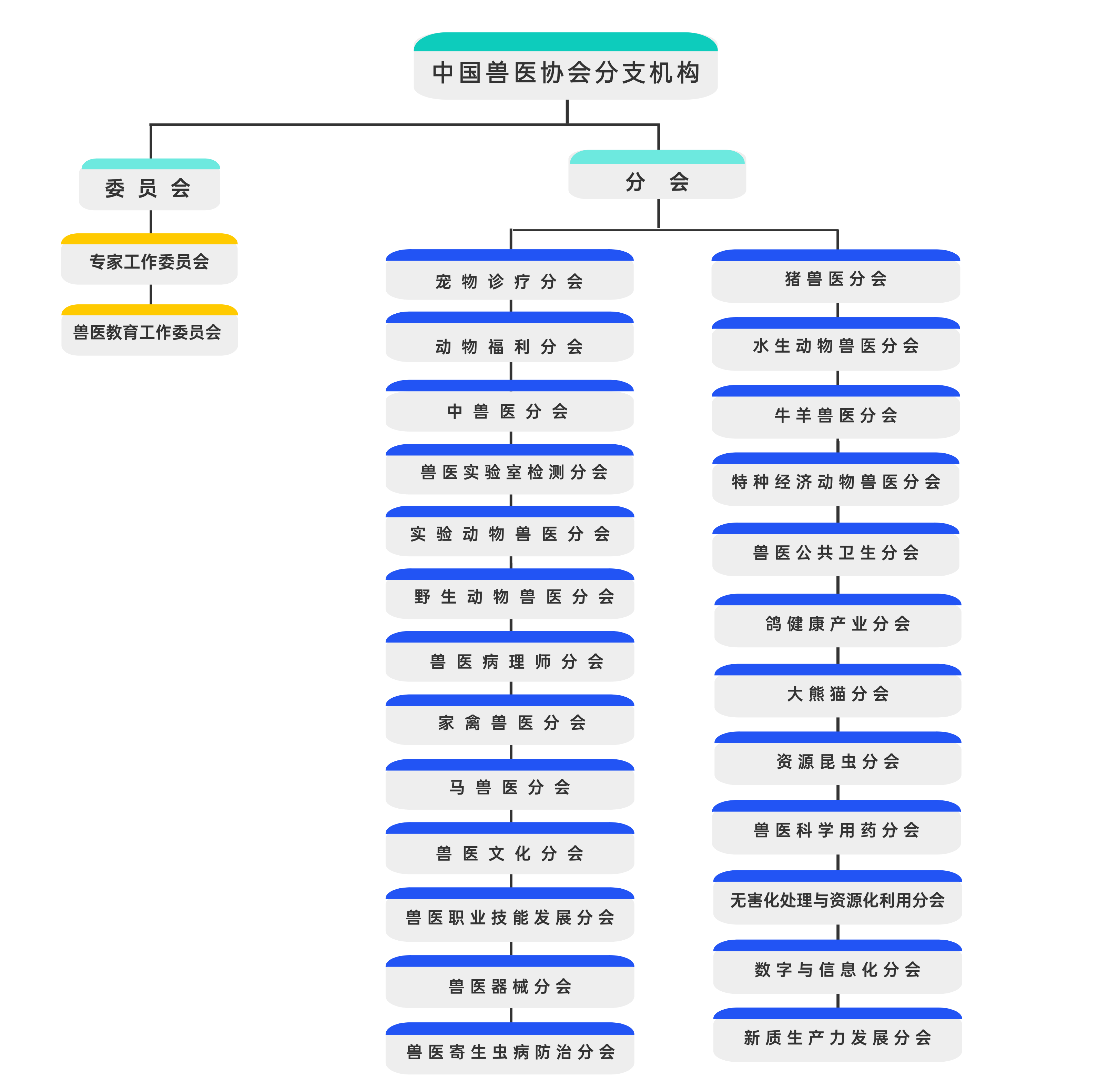 分会图-中文 (1).png